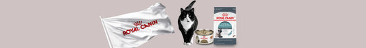 Home Page: Descubre la colección exclusiva para tu gato de Royal Canin