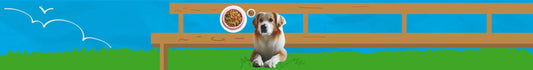 Interactivos para Perros