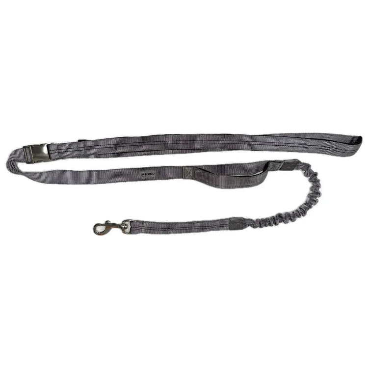 Arnés Para Trotar Con Traílla Resortada - PetsPlaza