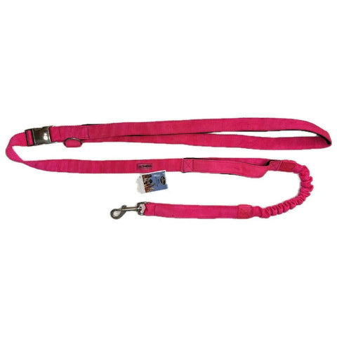 Arnés Para Trotar Con Traílla Resortada - PetsPlaza