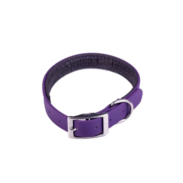 Collar Sintético Neopreno Morado - PetsPlaza