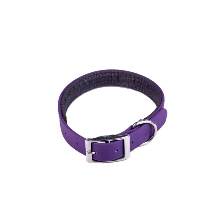 Collar Sintético Neopreno Morado - PetsPlaza