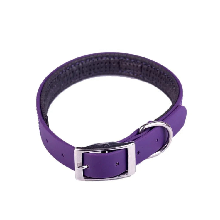Collar Sintético Neopreno Morado - PetsPlaza