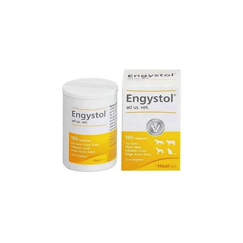 Engystol Frasco x 100 Tabletas - PetsPlaza