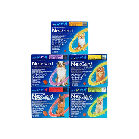 Nexgard Spectra Caja X 1 Tab para Perros - PetsPlaza
