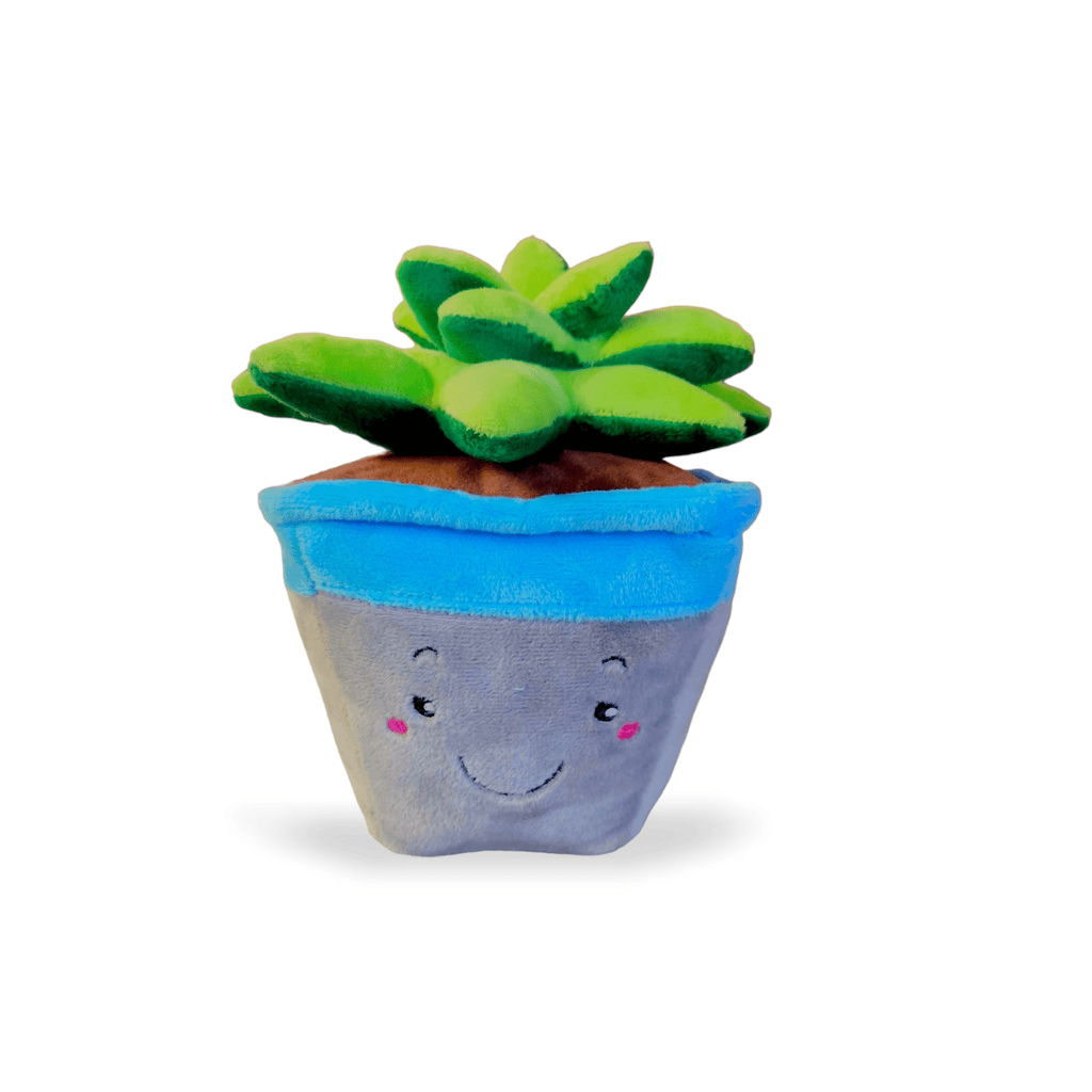 Peluche Suculenta - PetsPlaza