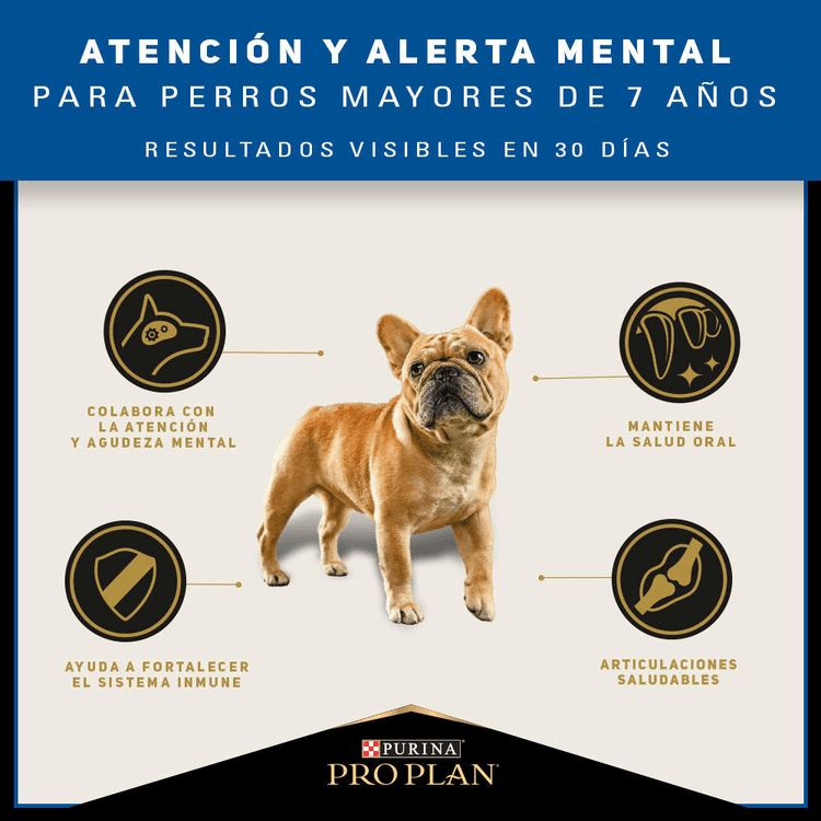 Alimento para perro Proplan 7 Small Breed