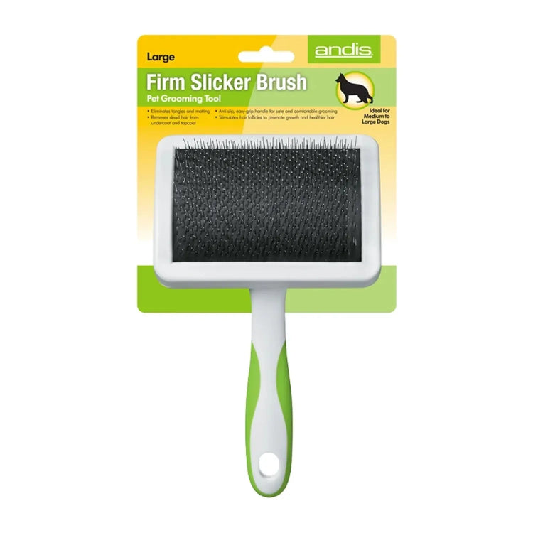 Andis Rasqueta - PetsPlaza