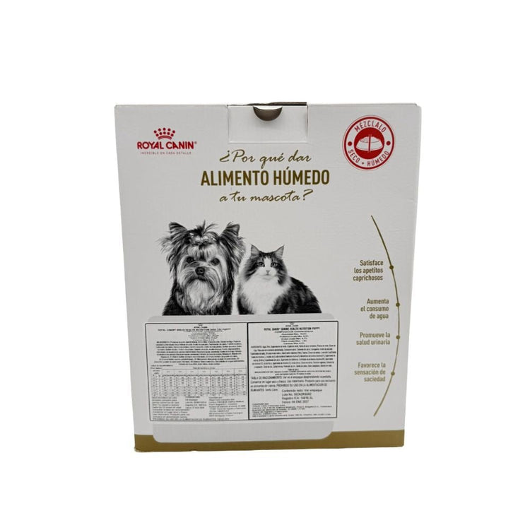 Royal Canin Shih Tzu Cachorros 1.5 Kg + 3 Latas Nutrición Premium - PetsPlaza