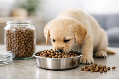 Cuánto concentrado come un cachorro al día