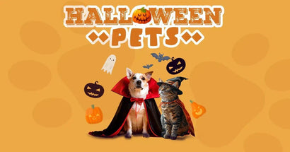 🎃 Concurso de Halloween Pets Plaza: ¡Deja que tu peludo brille y gana $250.000 en productos! - PetsPlaza