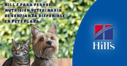 Hill’s para perros: nutrición veterinaria de confianza disponible en Pets Plaza - PetsPlaza