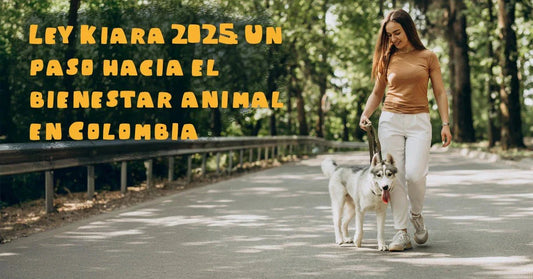 🐶 Ley Kiara 2025: Un paso hacia el bienestar animal en Colombia - PetsPlaza