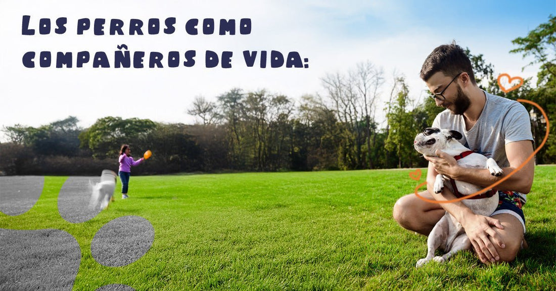 🐶 Los perros como compañeros de vida: el poder psicológico de su compañía - PetsPlaza