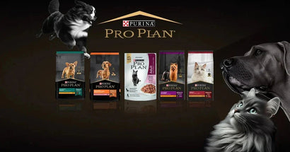 🏅 Marca del mes: Purina Pro Plan – Nutrición que marca la diferencia - PetsPlaza