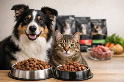 Purina ProPlan: cómo elegir la fórmula ideal - PetsPlaza