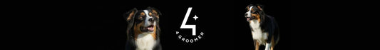 4Groomer
