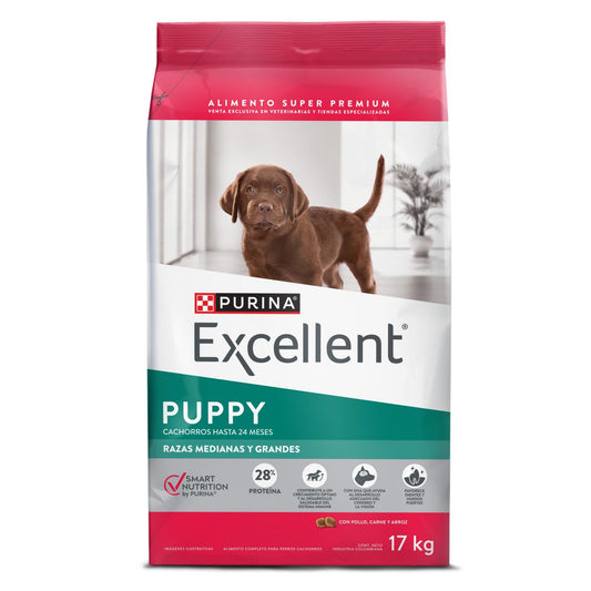 Antiobioticos para Gatos