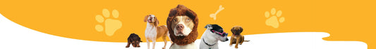Perros