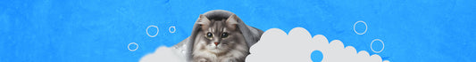 Baño & Aseo para Gatos