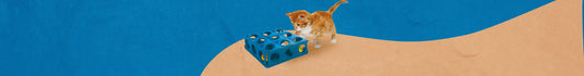 Interactivos para Gatos
