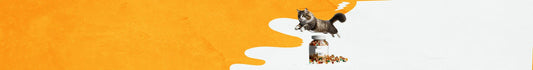 Vitaminas & Suplementos para Gatos