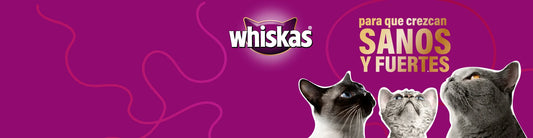 Whiskas