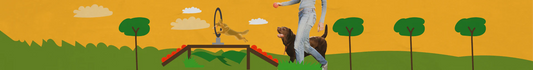 Snacks de Entrenamiento para Perros
