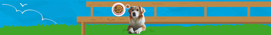 Interactivos para Perros