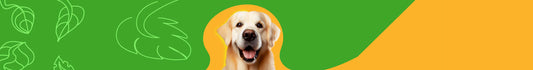 Perros Alimento Natural y Congelado