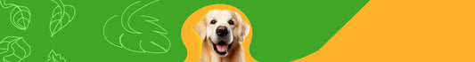 Alimento Natural para Perros