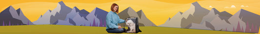 Transporte & Viajes para Perros