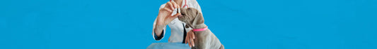 Vitaminas & Suplementos para Perros