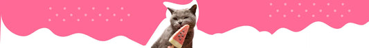 Snacks para Gatos