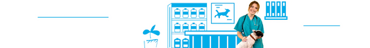 Salud & Medicamentos para Perros