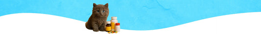 Salud & Medicamentos para Gatos