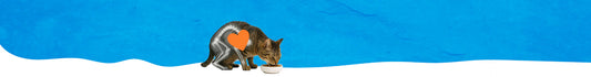 Alimento Gatos Colección General