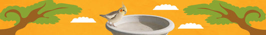 Comederos & Bebederos para Aves