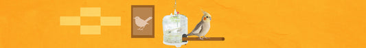Complementos & Accesorios para Aves