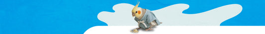 Salud & Medicamentos para Aves