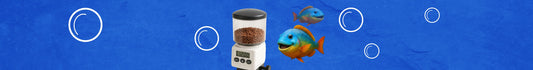Comederos & Bebederos para Peces