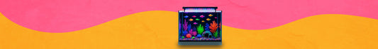 Complementos & Accesorios para Peces