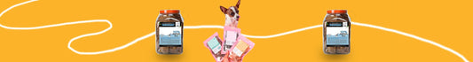 Snacks Naturales para Perros