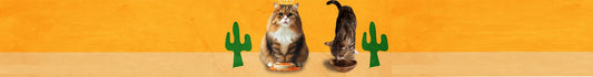Alimentos Secos para Gatos