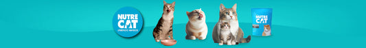 Nutrecat