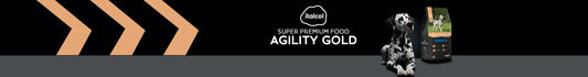 Agility Gold