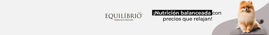 Equilíbrio
