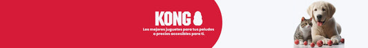 Kong