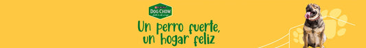 Dog Chow