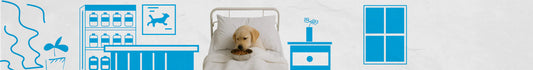 Alimento Medicado para Perros